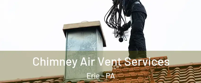  Chimney Air Vent Services Erie - PA