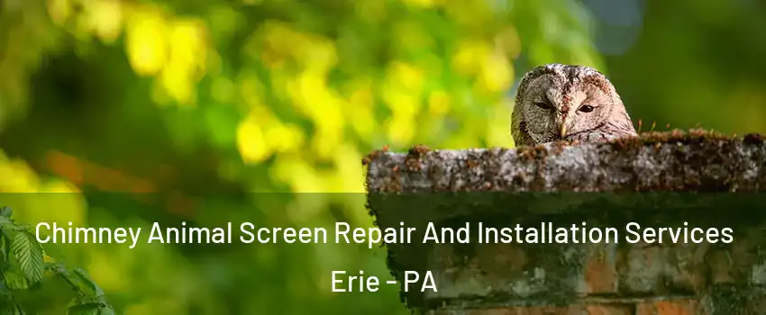  Chimney Animal Screen Repair And Installation Services Erie - PA