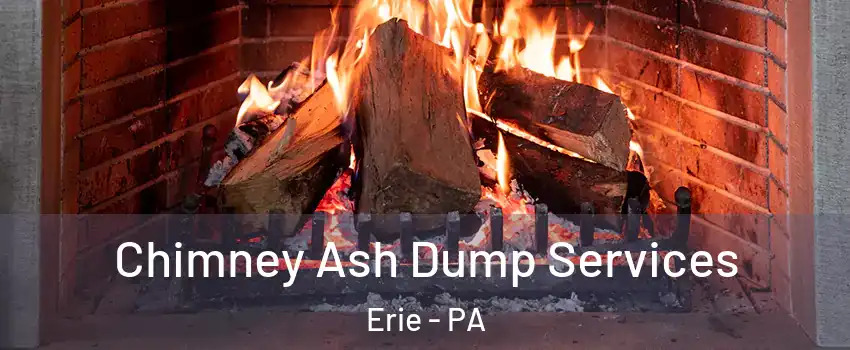  Chimney Ash Dump Services Erie - PA