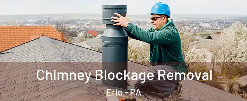 Chimney Blockage Removal Erie - PA