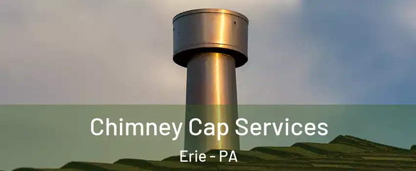  Chimney Cap Services Erie - PA