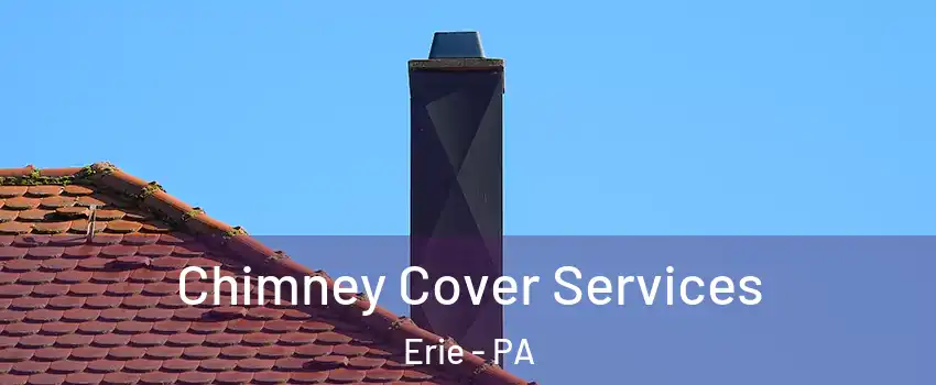  Chimney Cover Services Erie - PA