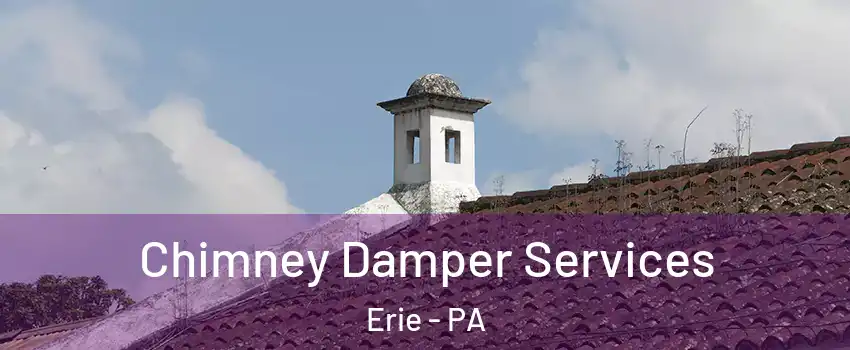  Chimney Damper Services Erie - PA