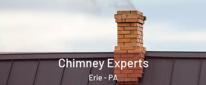  Chimney Experts Erie - PA