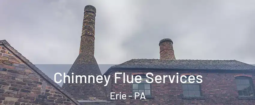  Chimney Flue Services Erie - PA