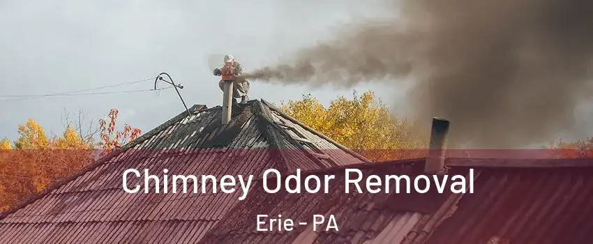 Chimney Odor Removal Erie - PA