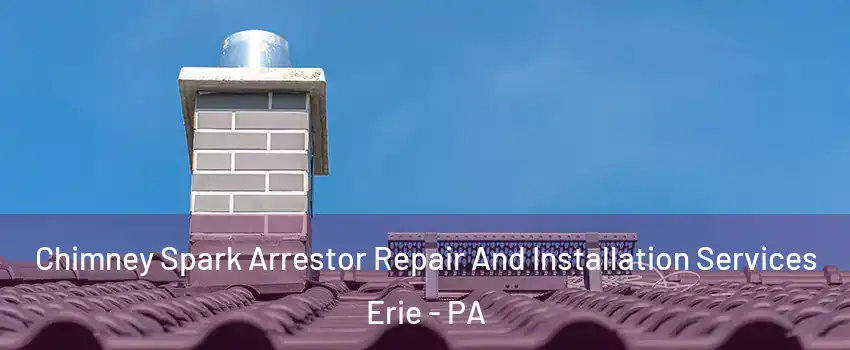  Chimney Spark Arrestor Repair And Installation Services Erie - PA
