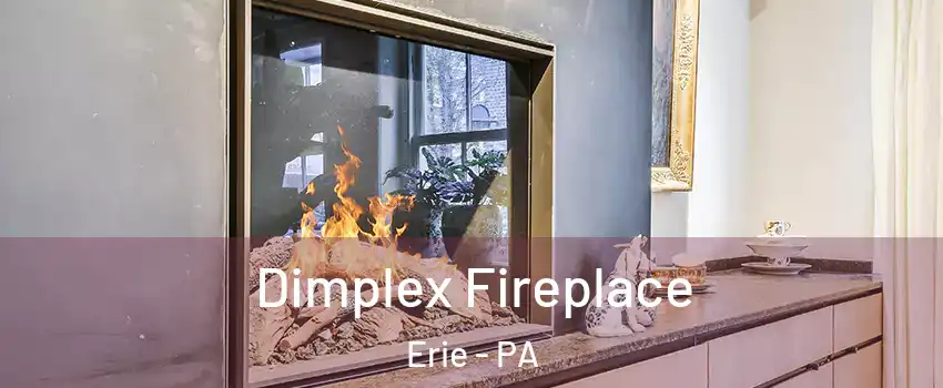  Dimplex Fireplace Erie - PA