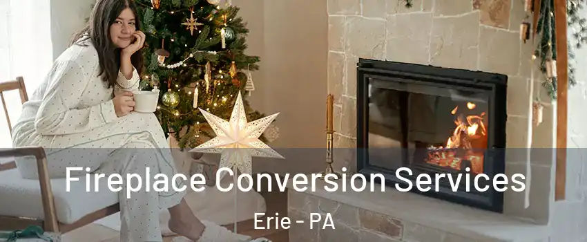  Fireplace Conversion Services Erie - PA