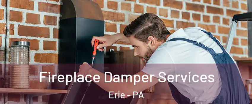  Fireplace Damper Services Erie - PA