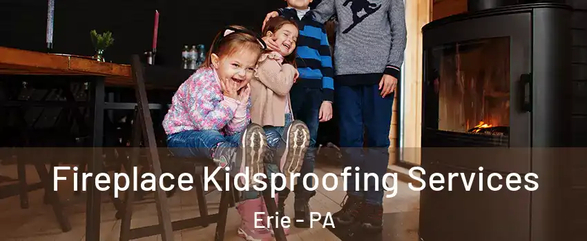  Fireplace Kidsproofing Services Erie - PA