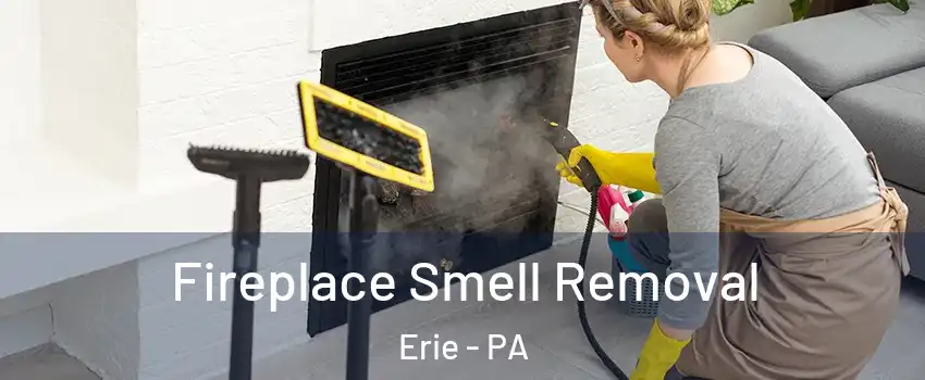 Fireplace Smell Removal Erie - PA