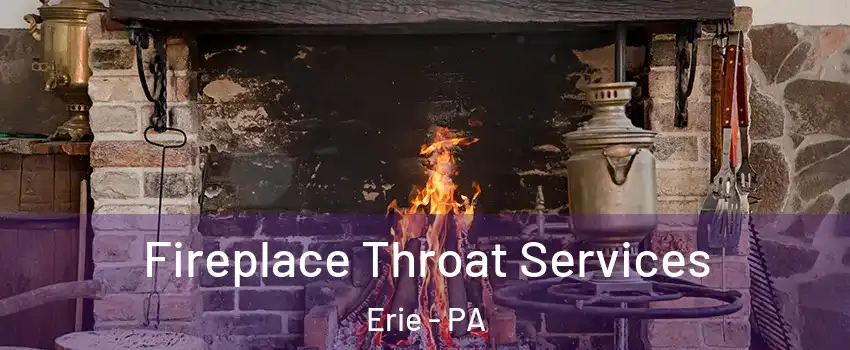  Fireplace Throat Services Erie - PA