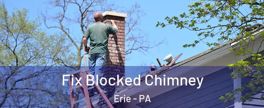  Fix Blocked Chimney Erie - PA