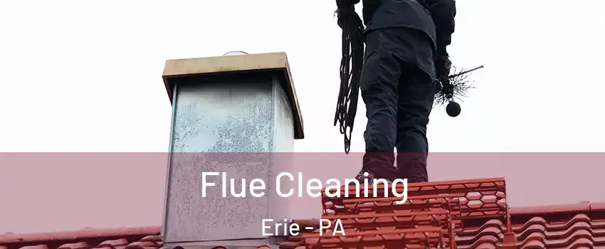  Flue Cleaning Erie - PA