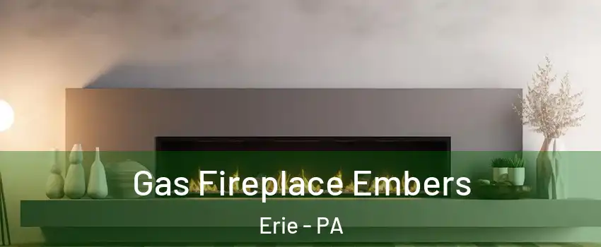  Gas Fireplace Embers Erie - PA