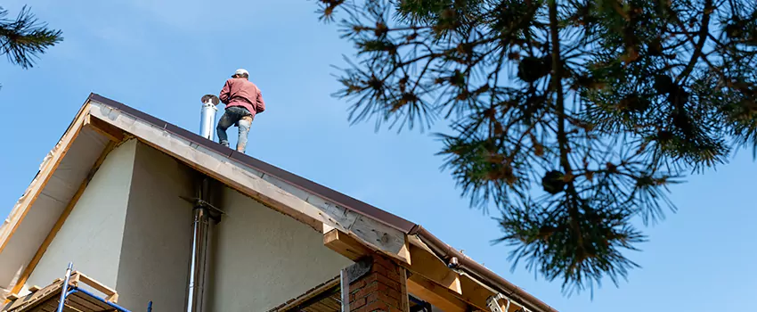 Birds Removal Contractors from Chimney in Erie, PA