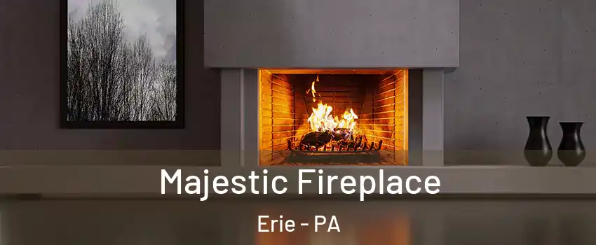  Majestic Fireplace Erie - PA