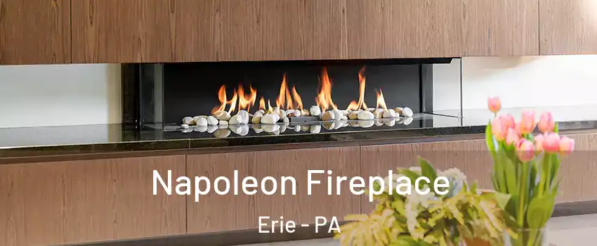  Napoleon Fireplace Erie - PA