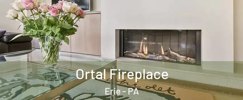  Ortal Fireplace Erie - PA